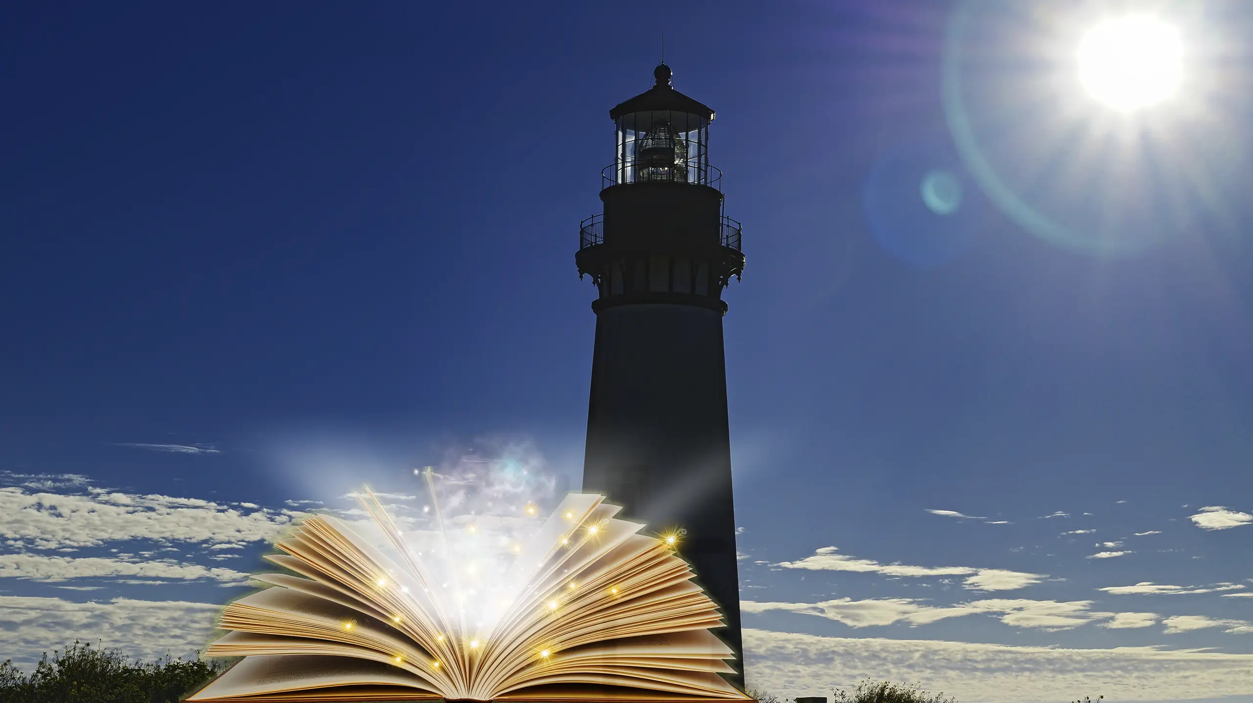 About The Life Force Institute