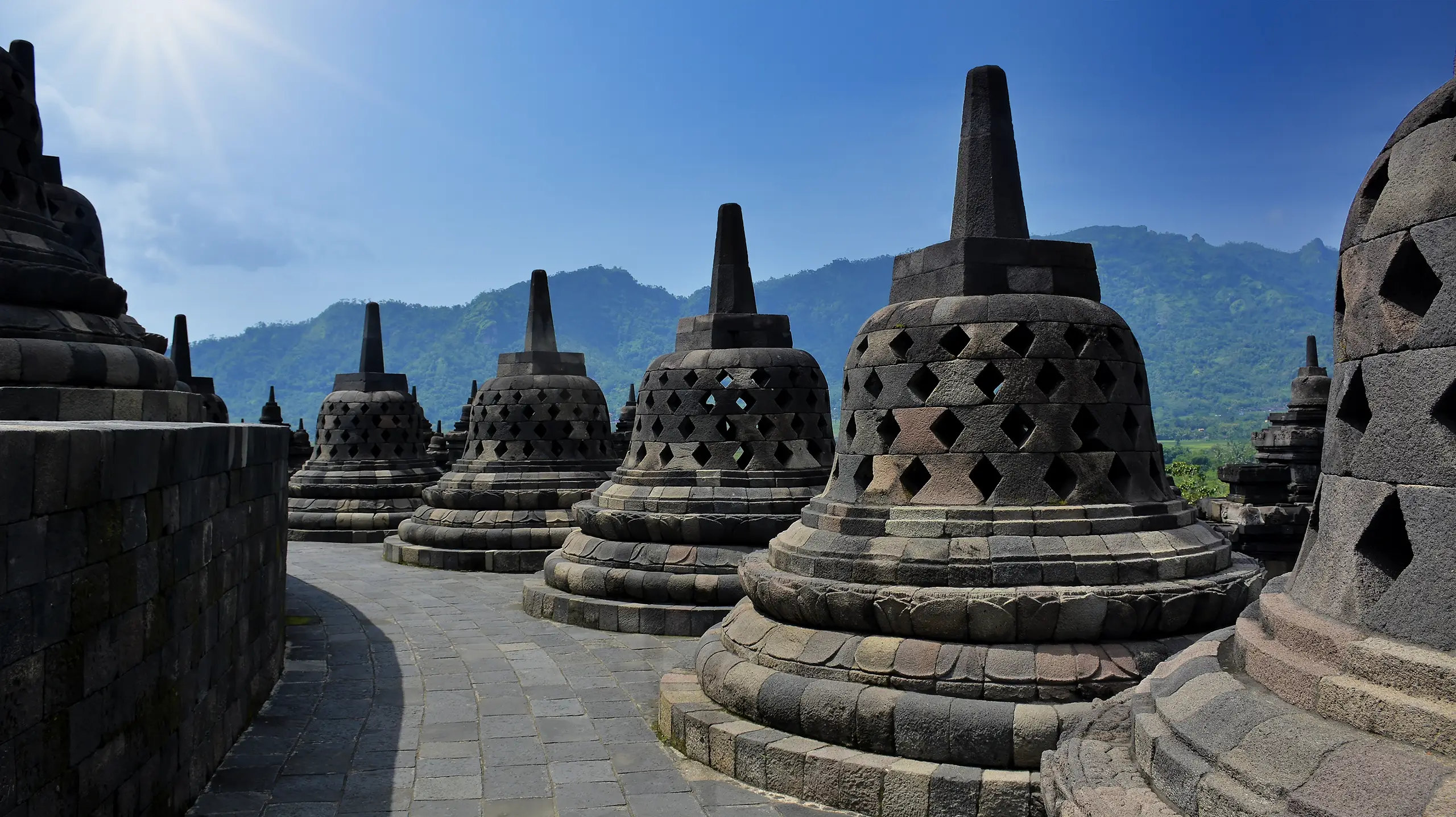 Causality Awareness 2