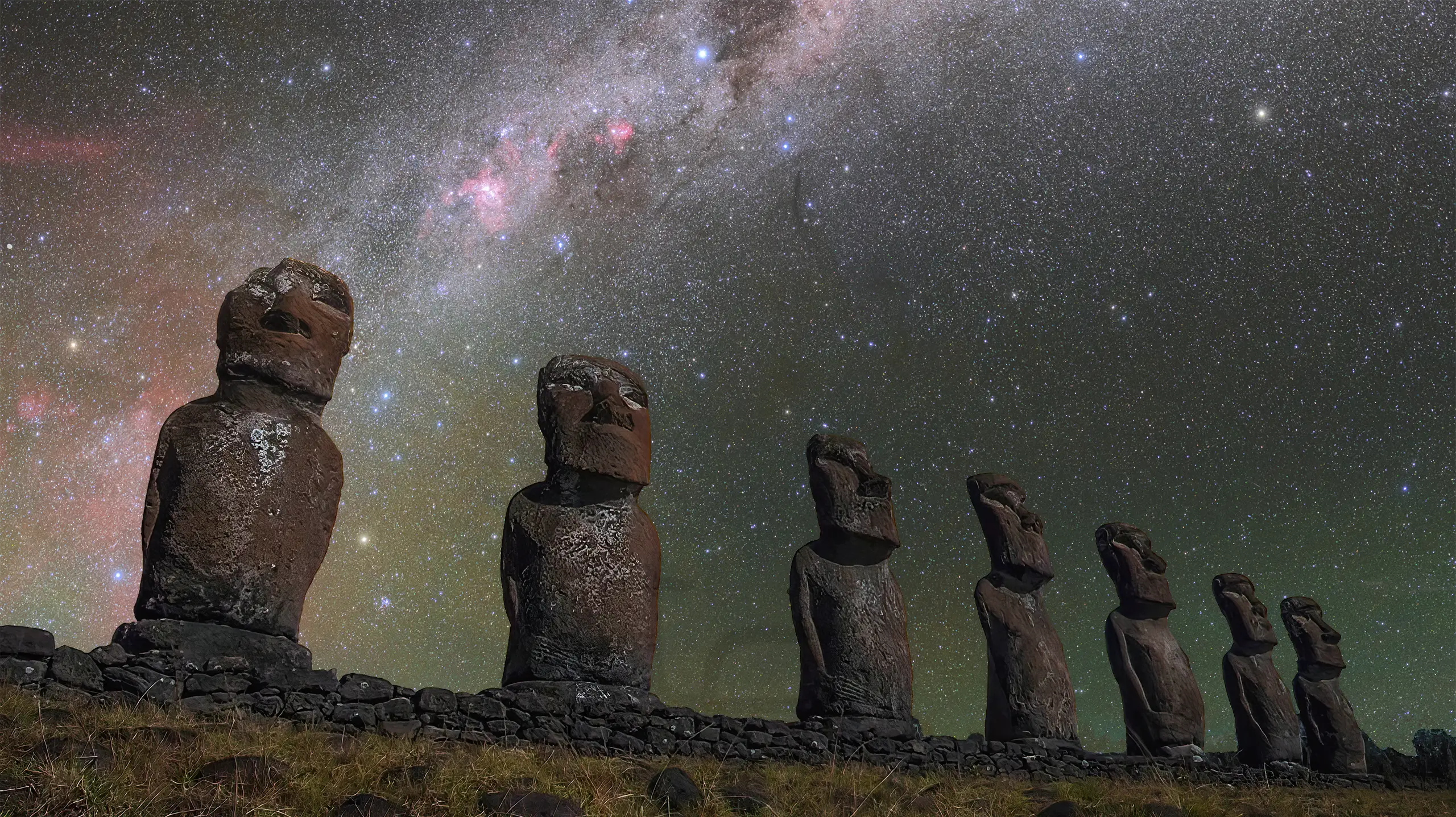 The Life Force Institute