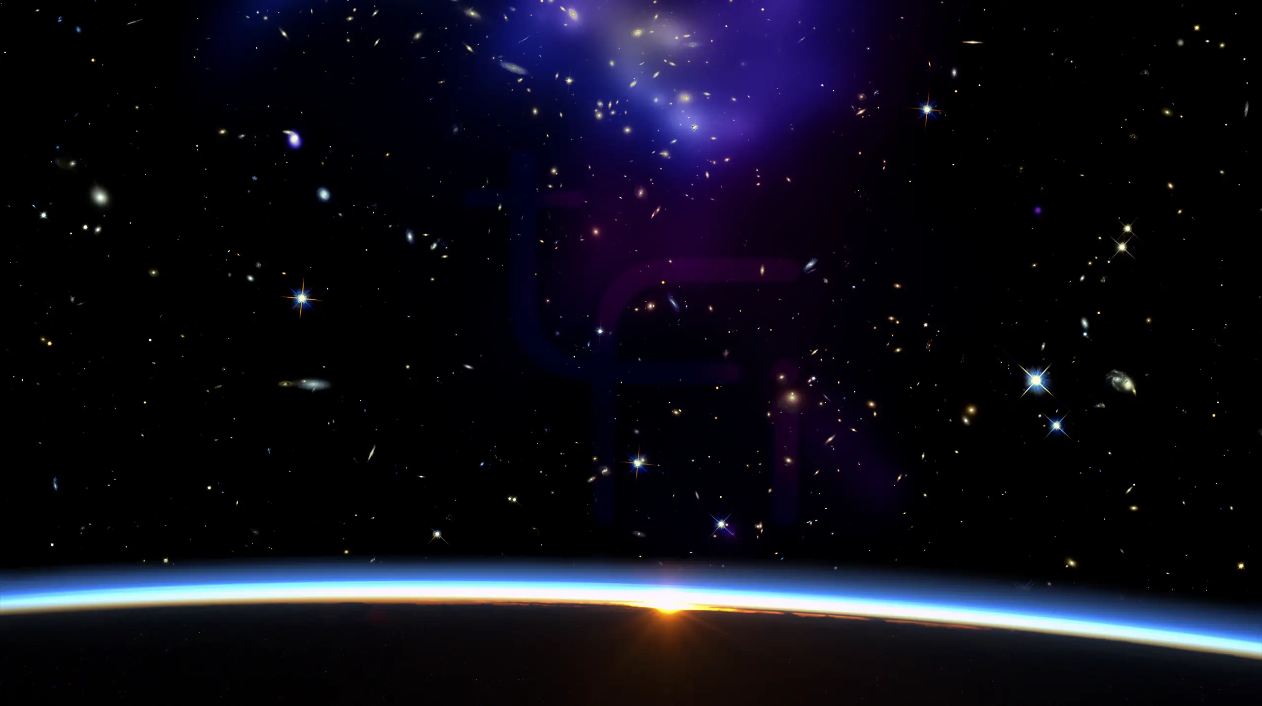 The Life Force Institute