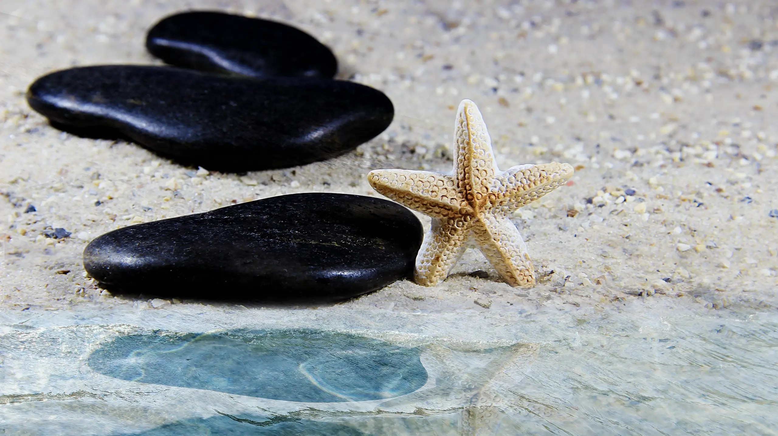 Introduction to Wellbeing