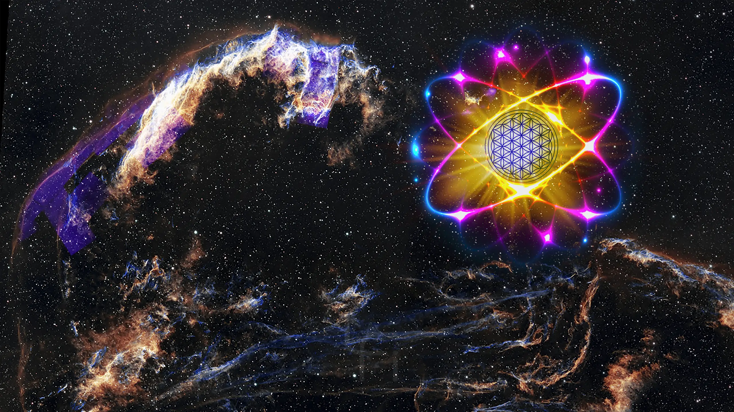 The Life Force Institute