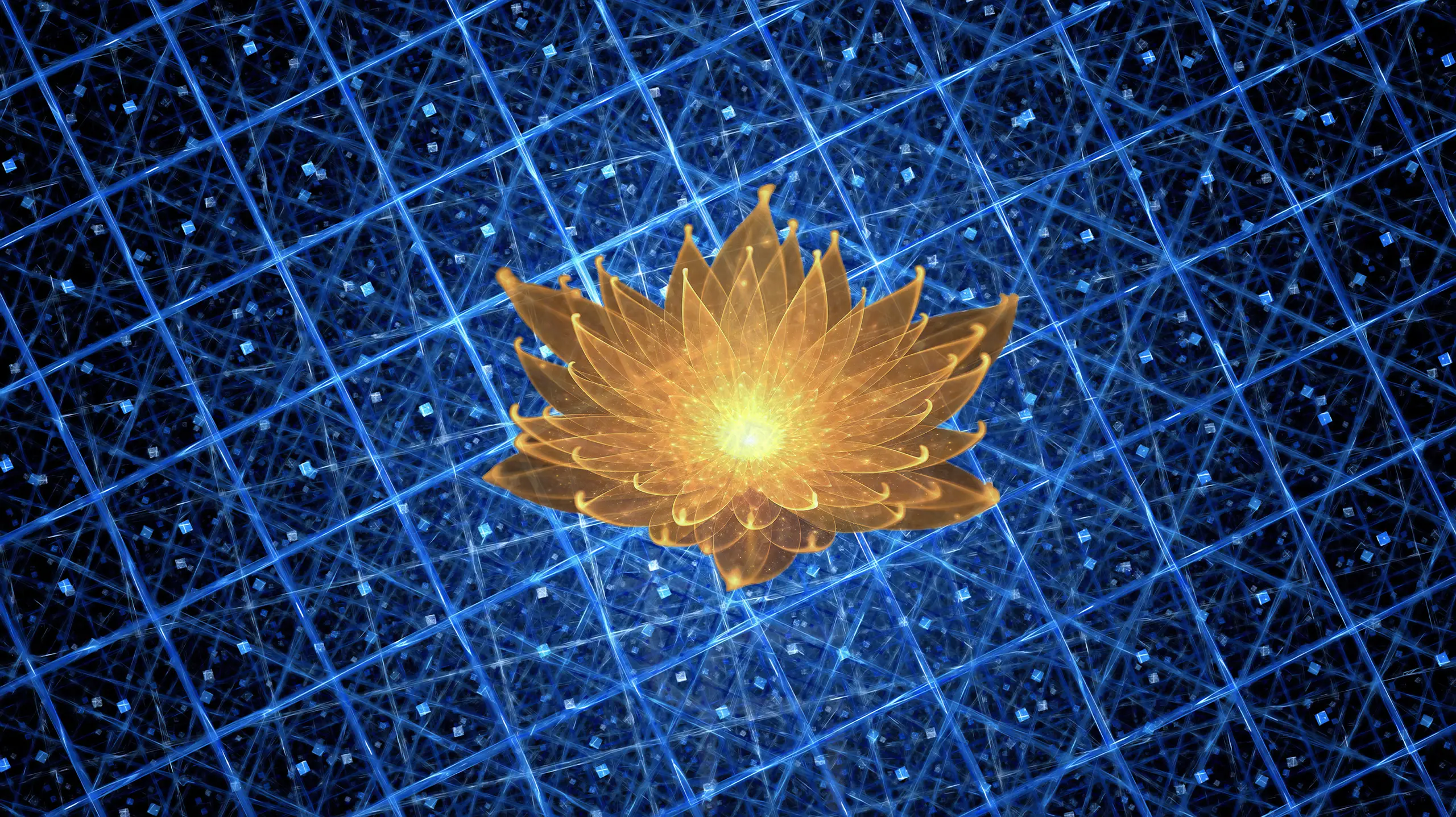 The Energy Mechanisms