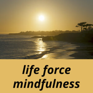 Life Force Mindfulness